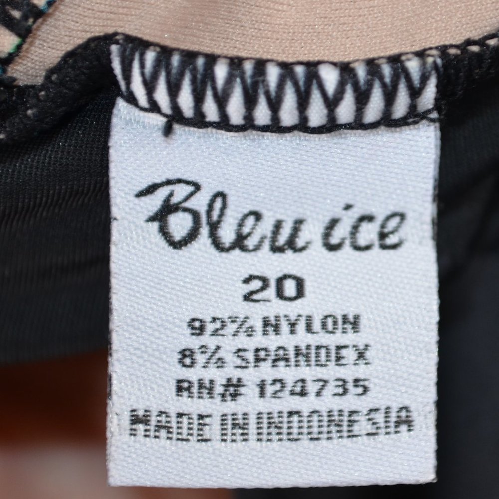 NWT Bleu Ice One Piece Swimsuit PLUS SIZE 20 22 - Picture 6 of 7